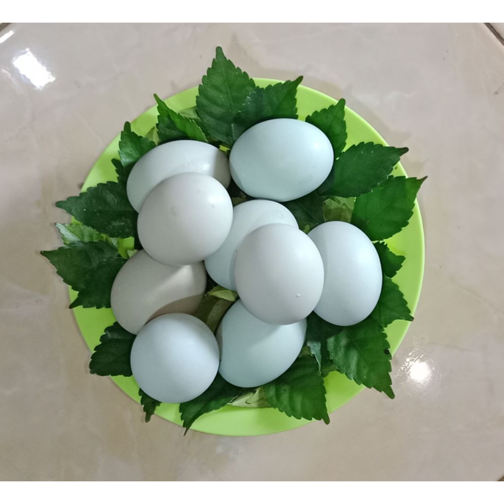 

PROMO TERBARU!!! TELUR ASIN KUKUS MURAH KHAS KEBUMEN