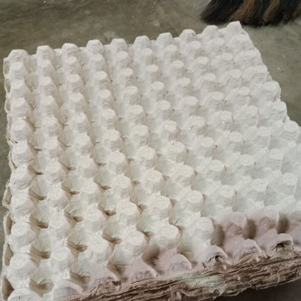 tray telur puyuh /tempat telur puyuh