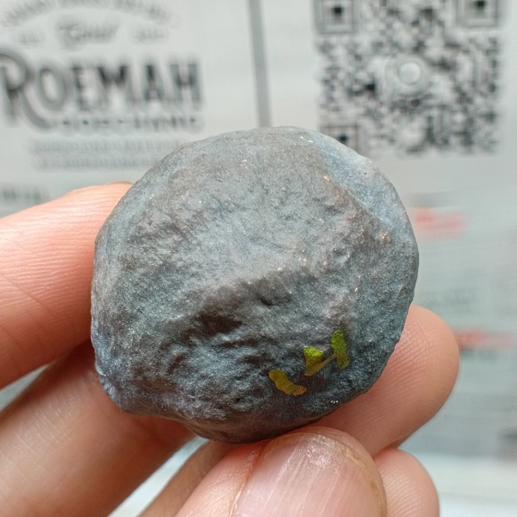 Muncang Adu SB x Manohara kode 14