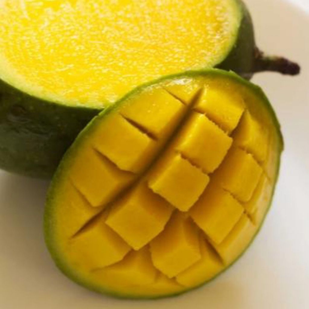 

Buah Limus / Buah Bacang 1kg Segar