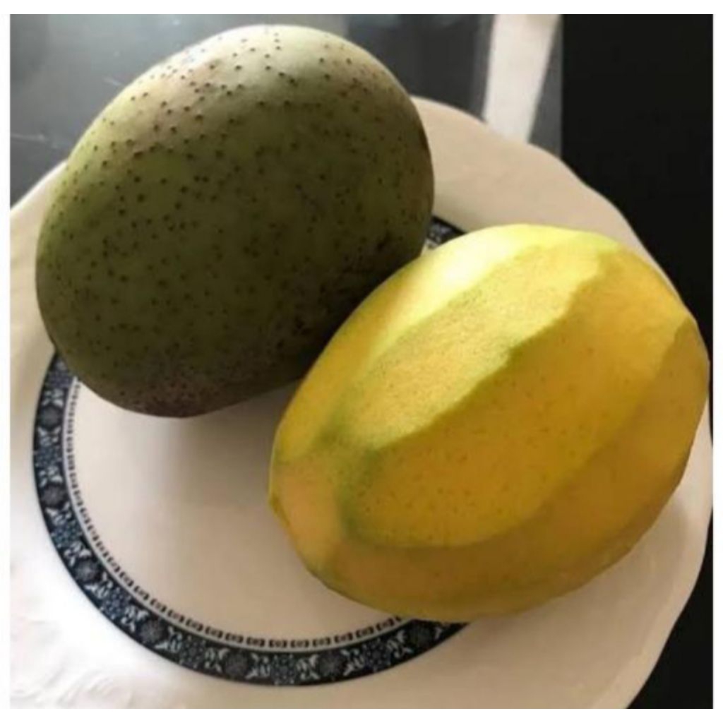 

Buah Bacang Limus Pakel 1kg Segar Asam Manis