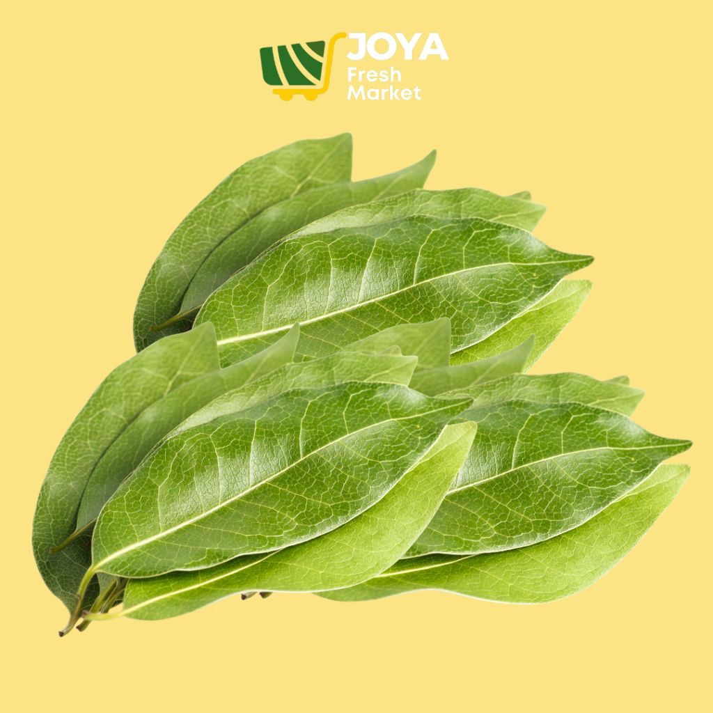 

Joya Fresh - Daun Salam Segar/Daun Salam Per Paket/Daun Salam Fresh/Rempah Segar