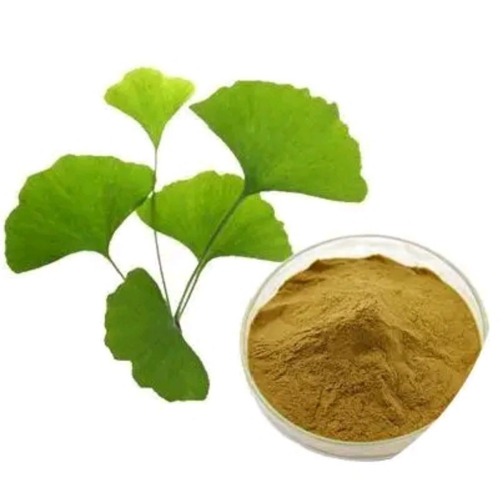 

DAUN GINKGO BILOBA BUBUK 100% Murni Original - Yin Xing Ye - Isi 1.KG