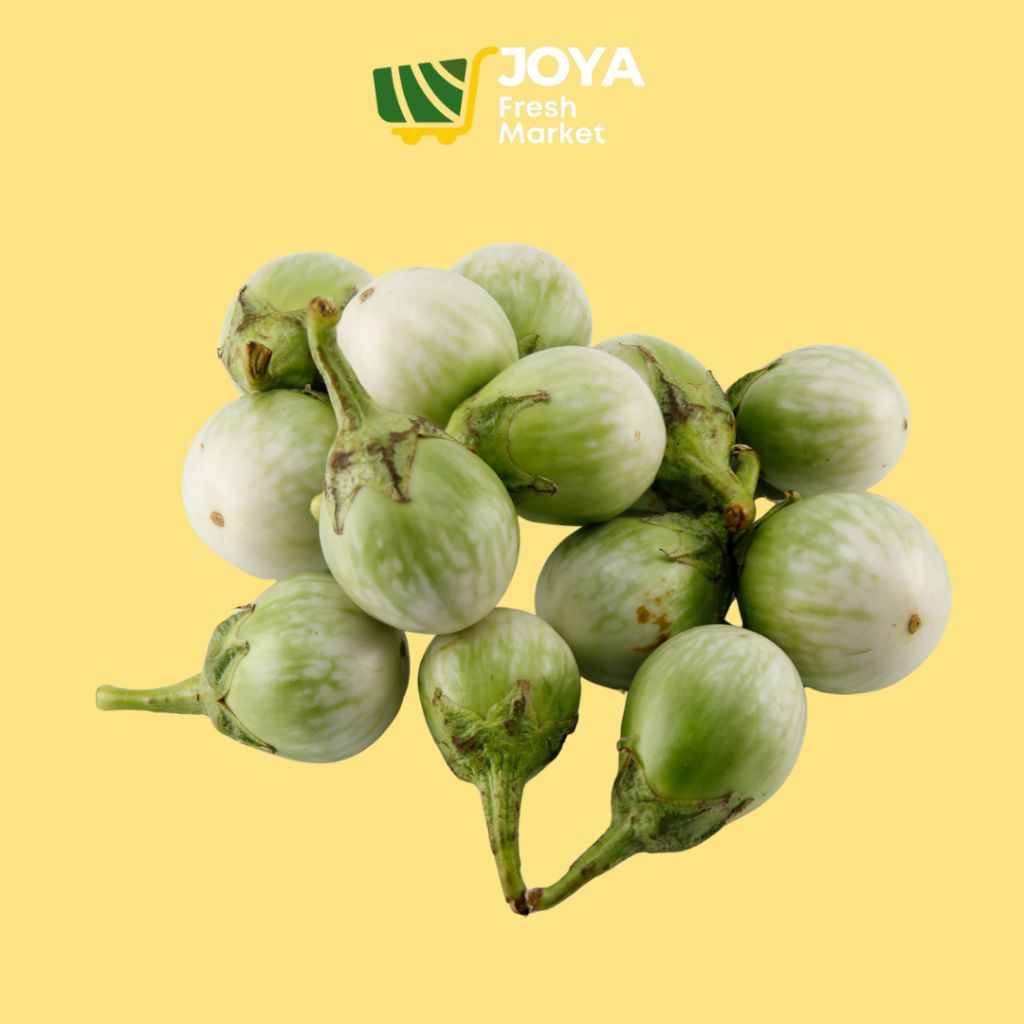 

Joya Fresh - Terong Hijau Bulat Segar/Terong Lalapan/Sayuran Segar