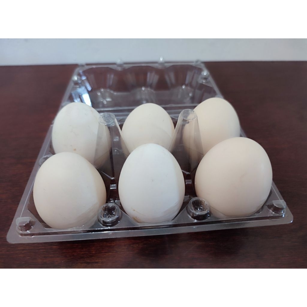 

Telur ayam arab isi 6 butir.