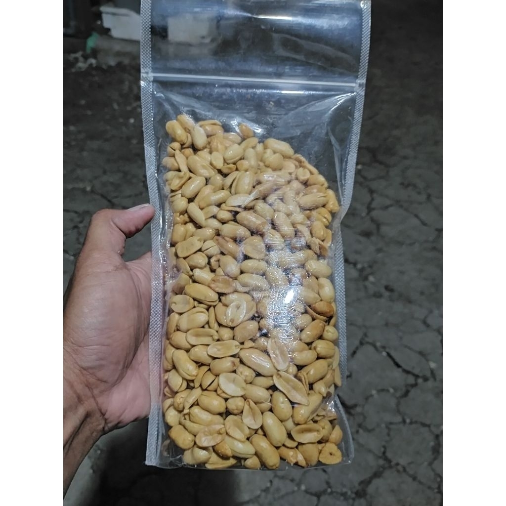 

kacang bawang (kacang kelinci)