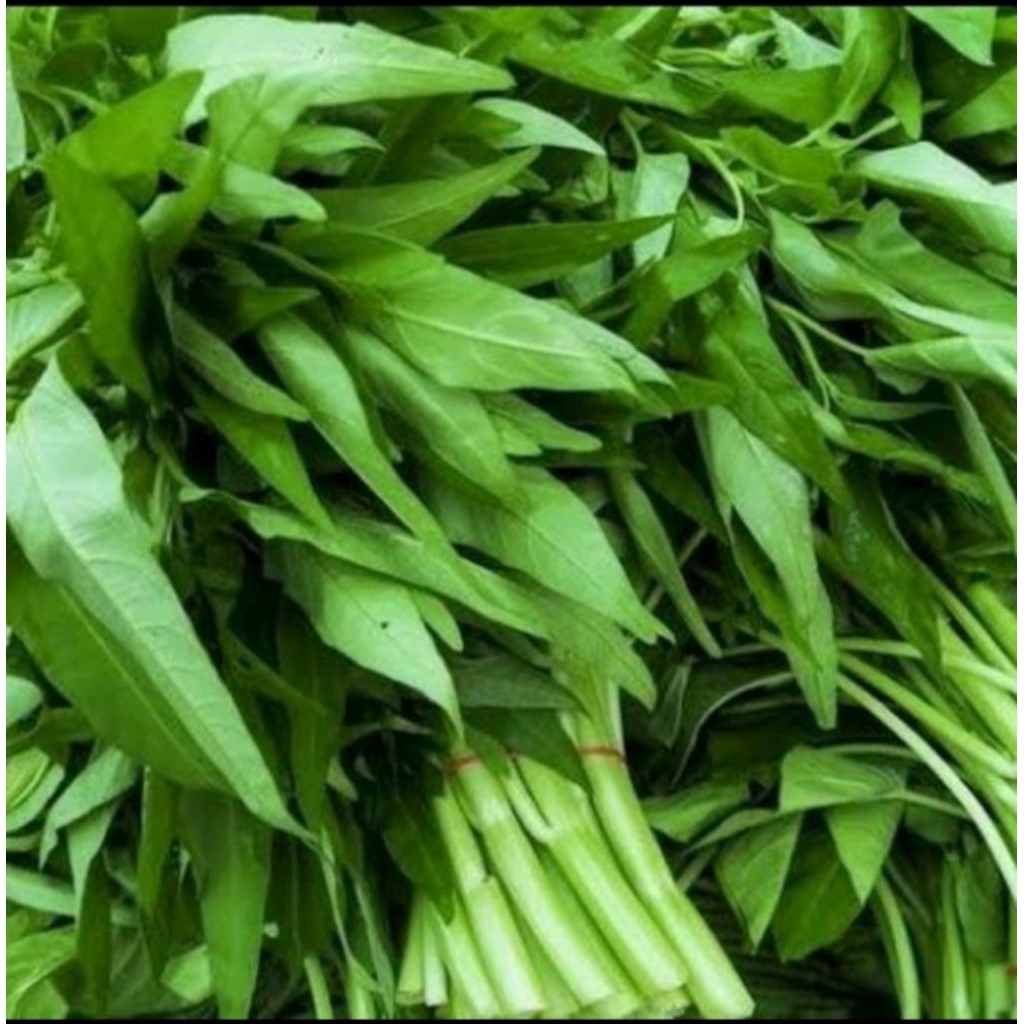 

Kangkung per ikat