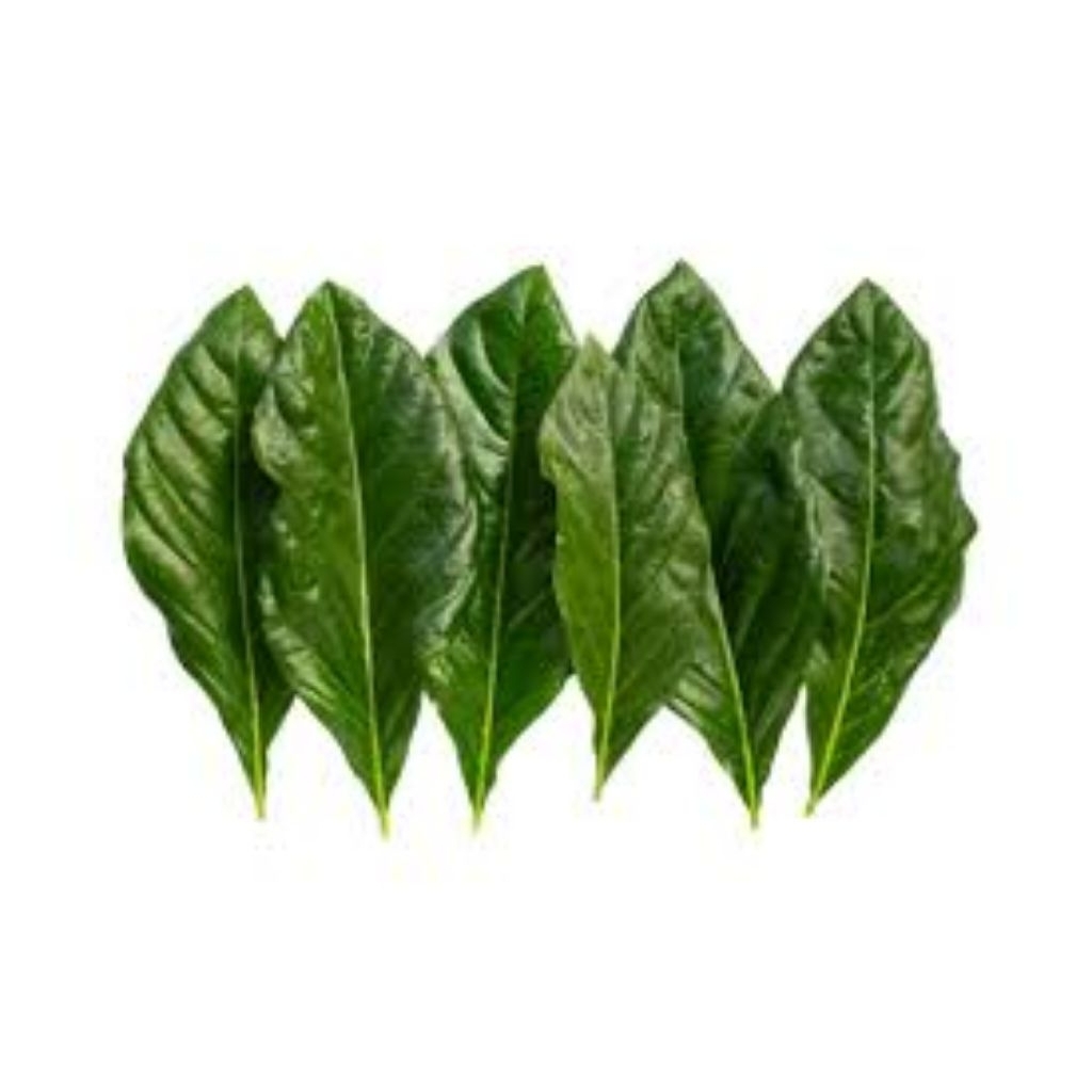 

Daun mengkudu Fressh 100gr