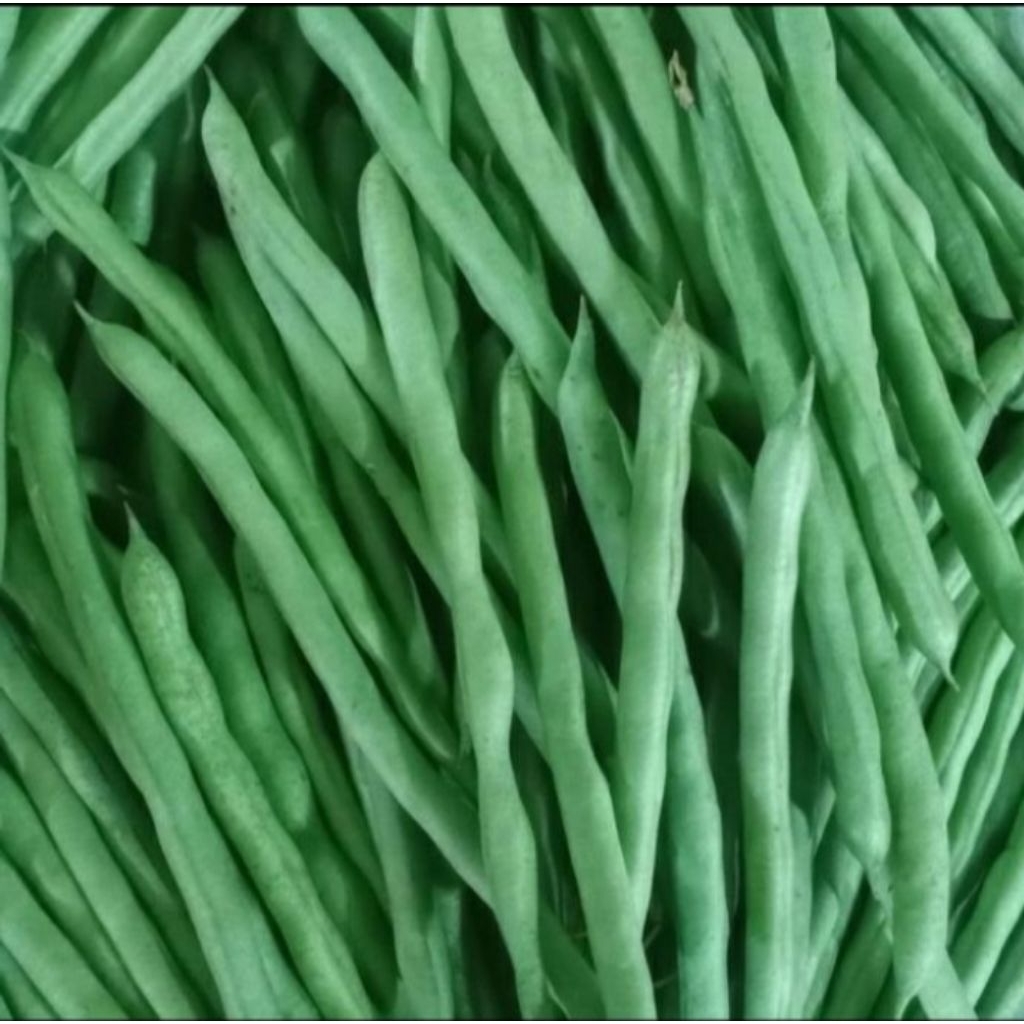 

Buncis per 250gr