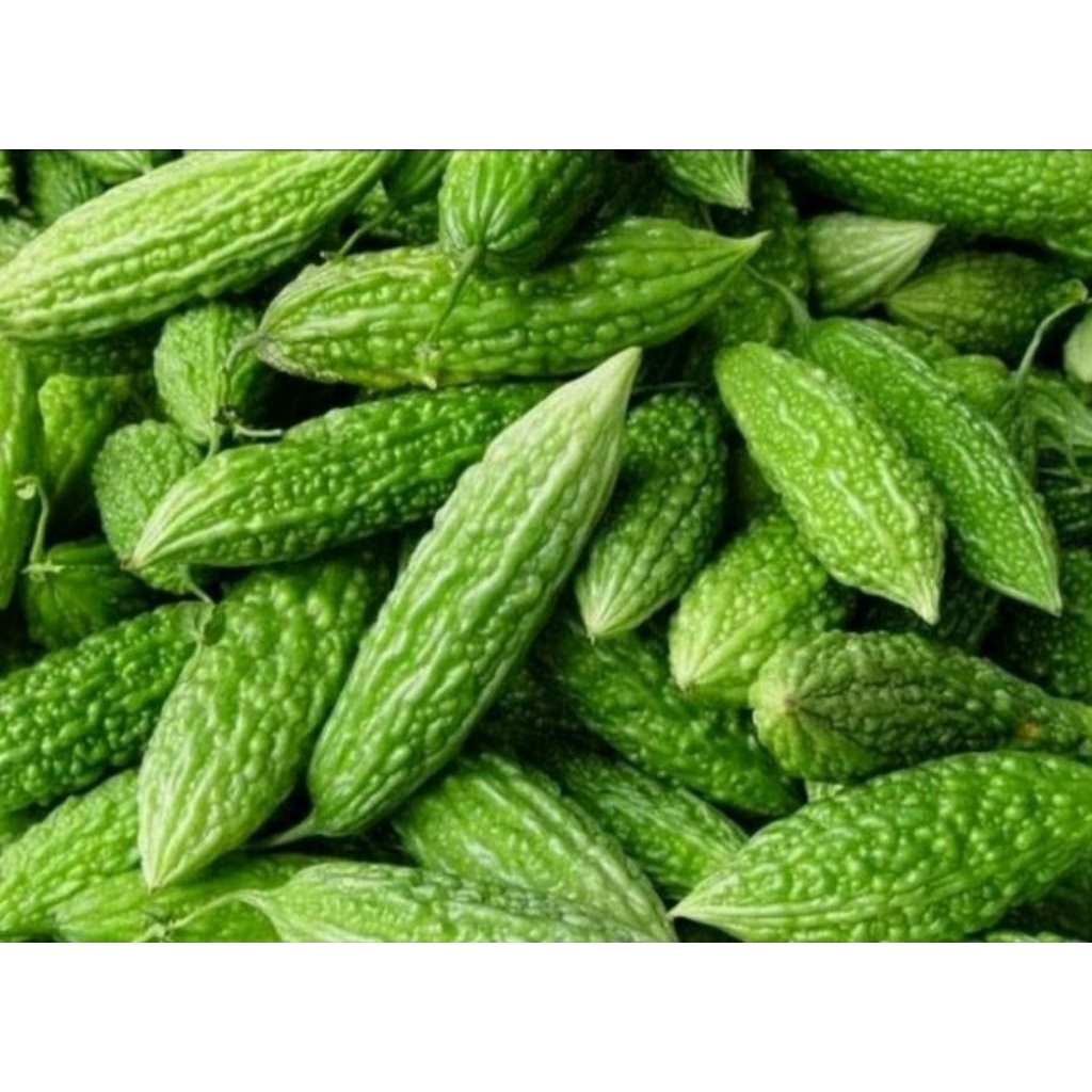 

Paria hijau per 500 gr