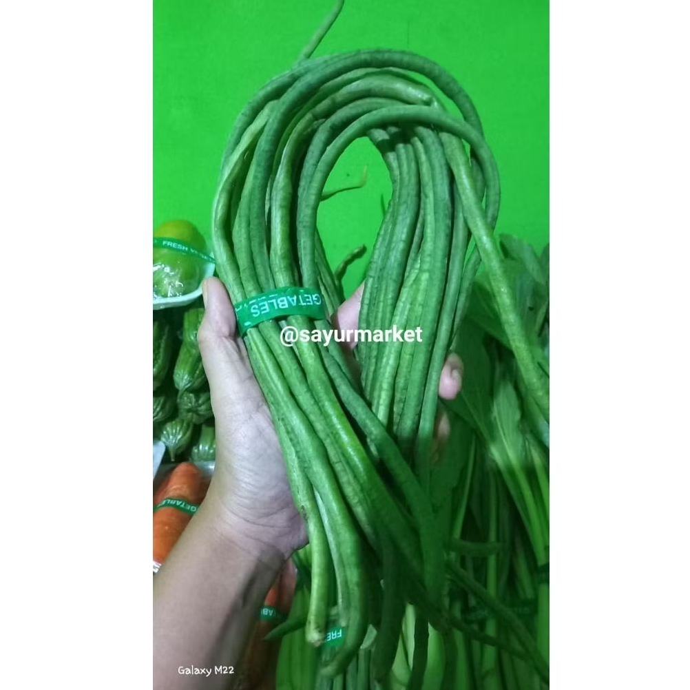 

KACANG PANJANG 1 IKAT