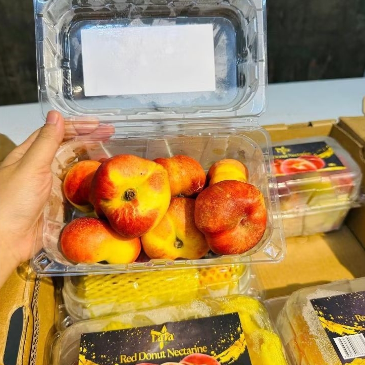 

BUAH PLUM NEXTARINE CHINA FRESH PACK 500gr