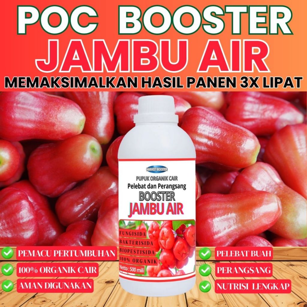 PUPUK BUAH JAMBU AIR / Booster JAMBU AIR / Pupuk buah lebat / Pupuk booster buah JAMBU AIR / pupuk b