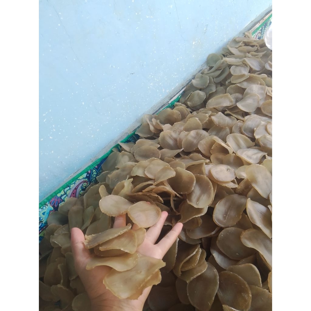 

KERUPUK PULI