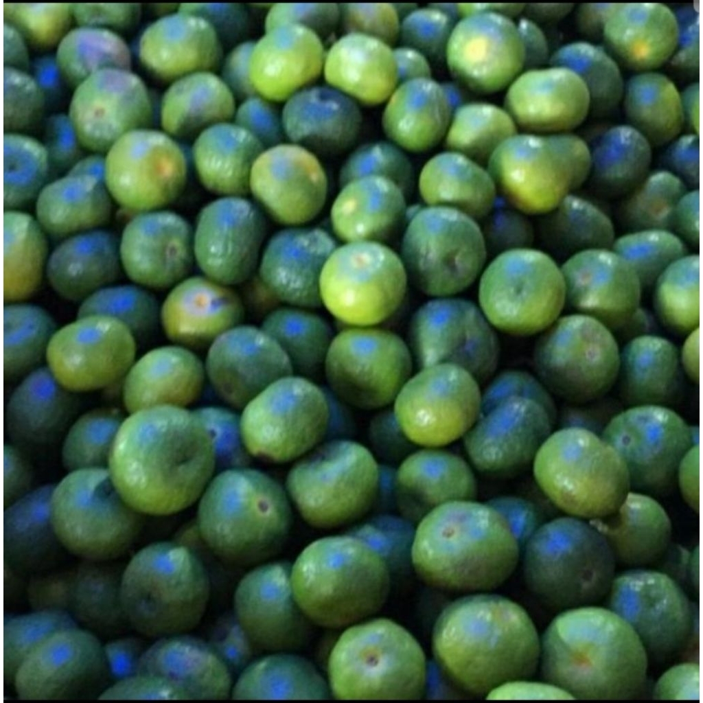 

Jeruk limo/jeruk sambel