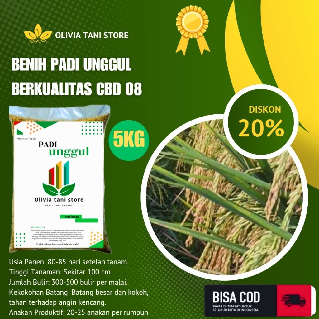 BENIH PADI UNGGUL BERKUALITAS CBD 08 100% ORIGINAL