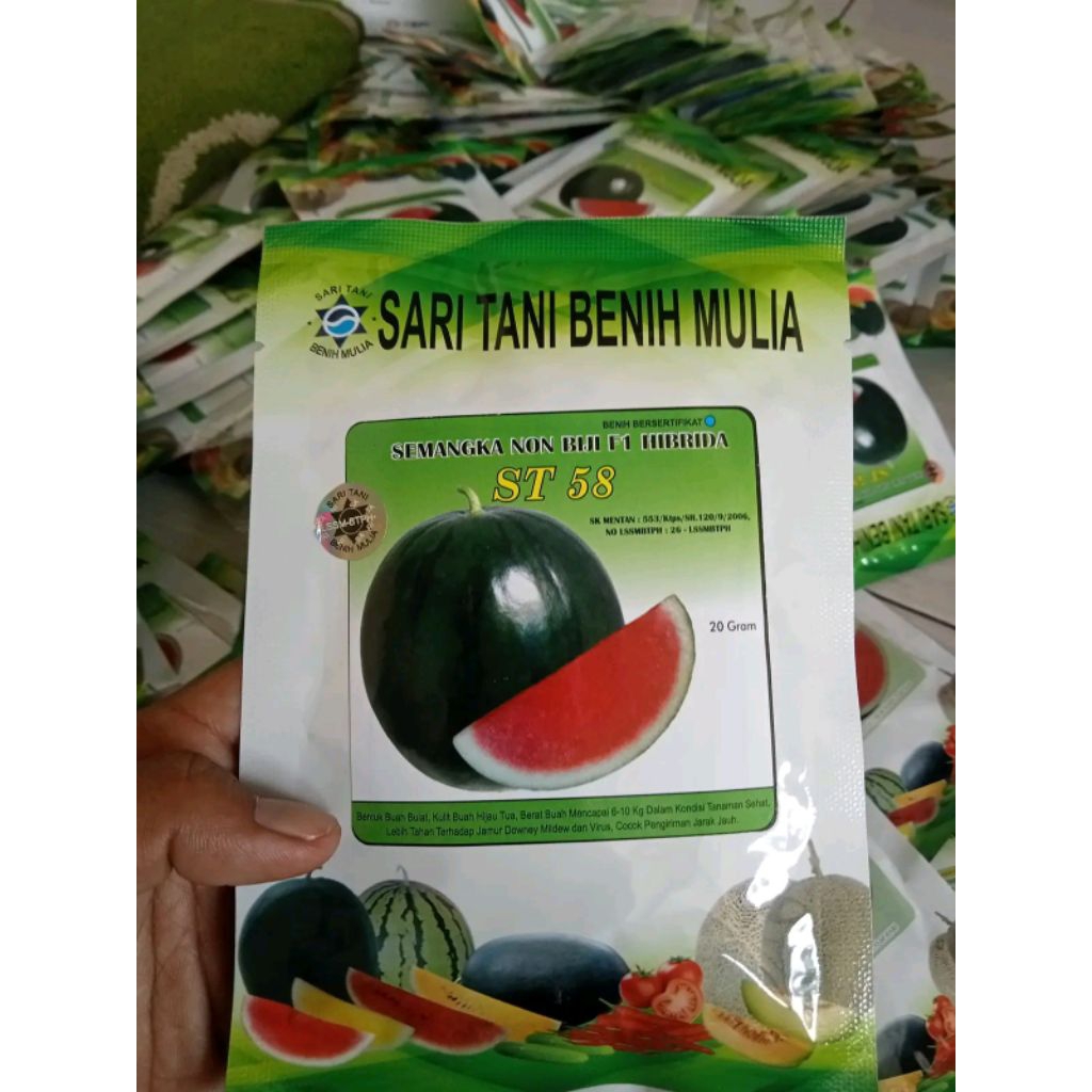 Benih Bibit Semangka Non Biji Bangkok Jumbo, ST 58 F1 (Tahan Virus, Tahan penyakit dan Produksi Ting