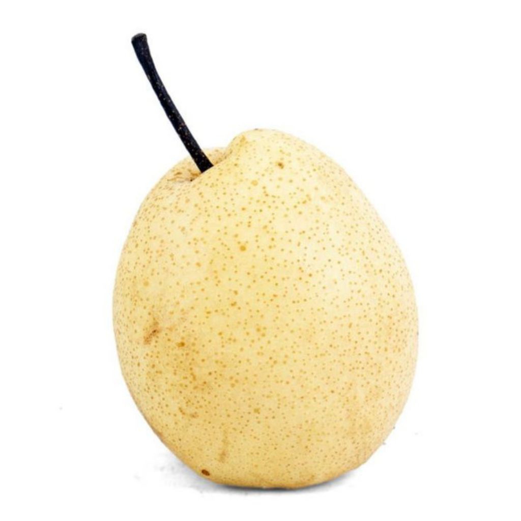 

Buah pir putih 500 Gram