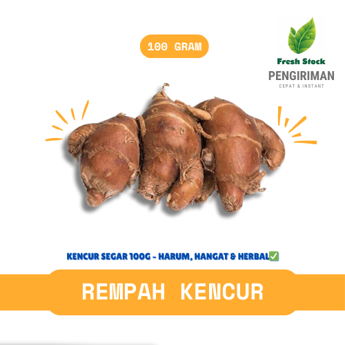 

REMPAH KENCUR | FreshStock