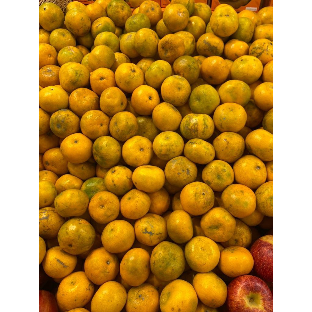 

Jeruk Medan Super 1000 Gram/1 Kg