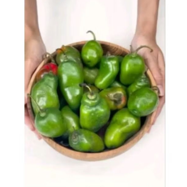 

cabe gendot / cabai bendot 100 gram