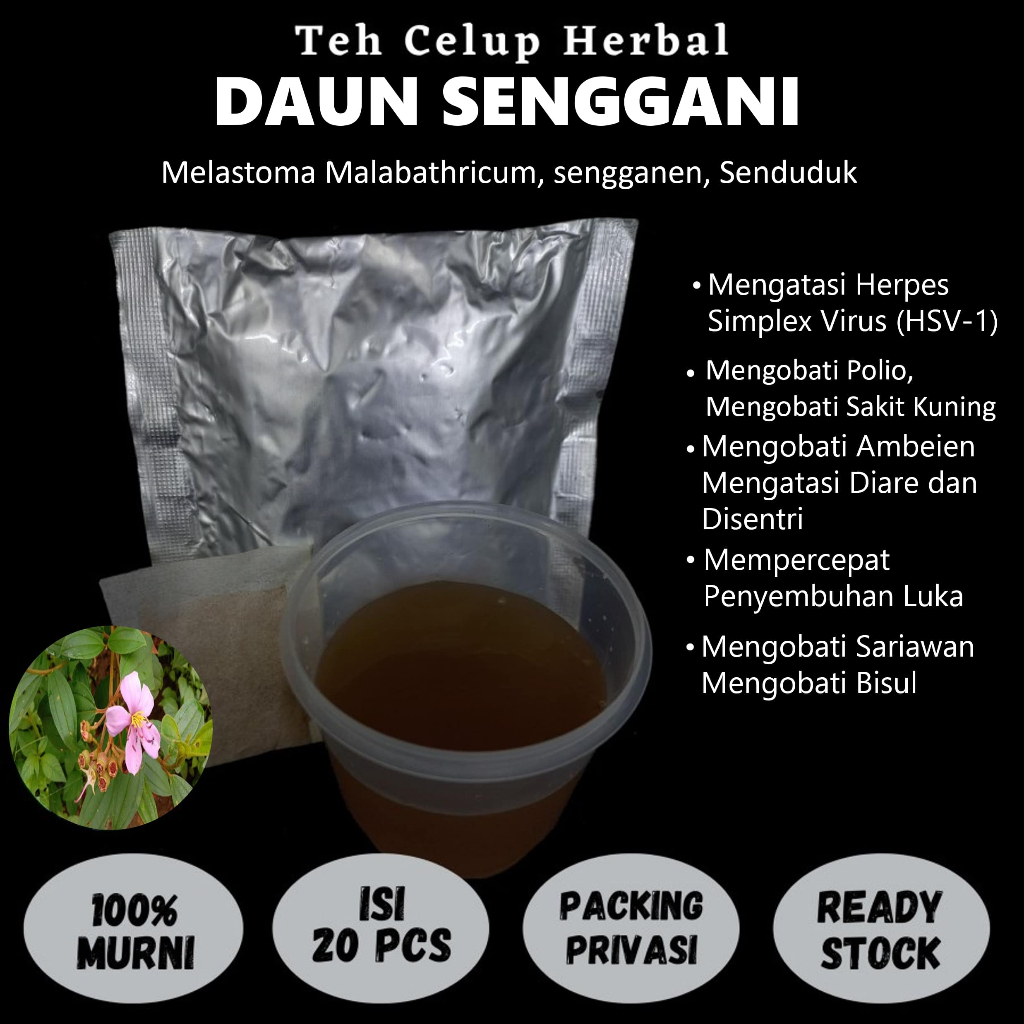 

Teh Celup Herbal DAUN SENGGANI Mengatasi Herpes Polio Sakit Kuning Sariawan Bisul Keputihan