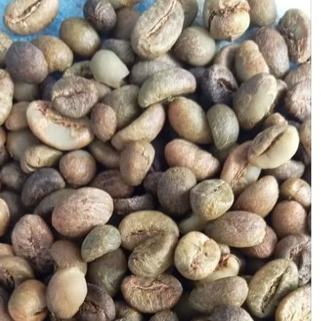 

kopi robusta Pupuan green bean DP 1000gram