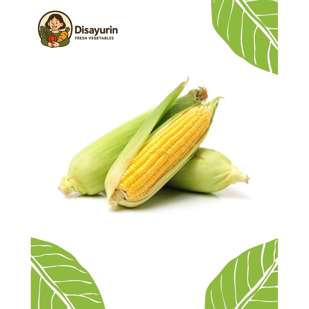 

Jagung Manis ( 1 Buah )