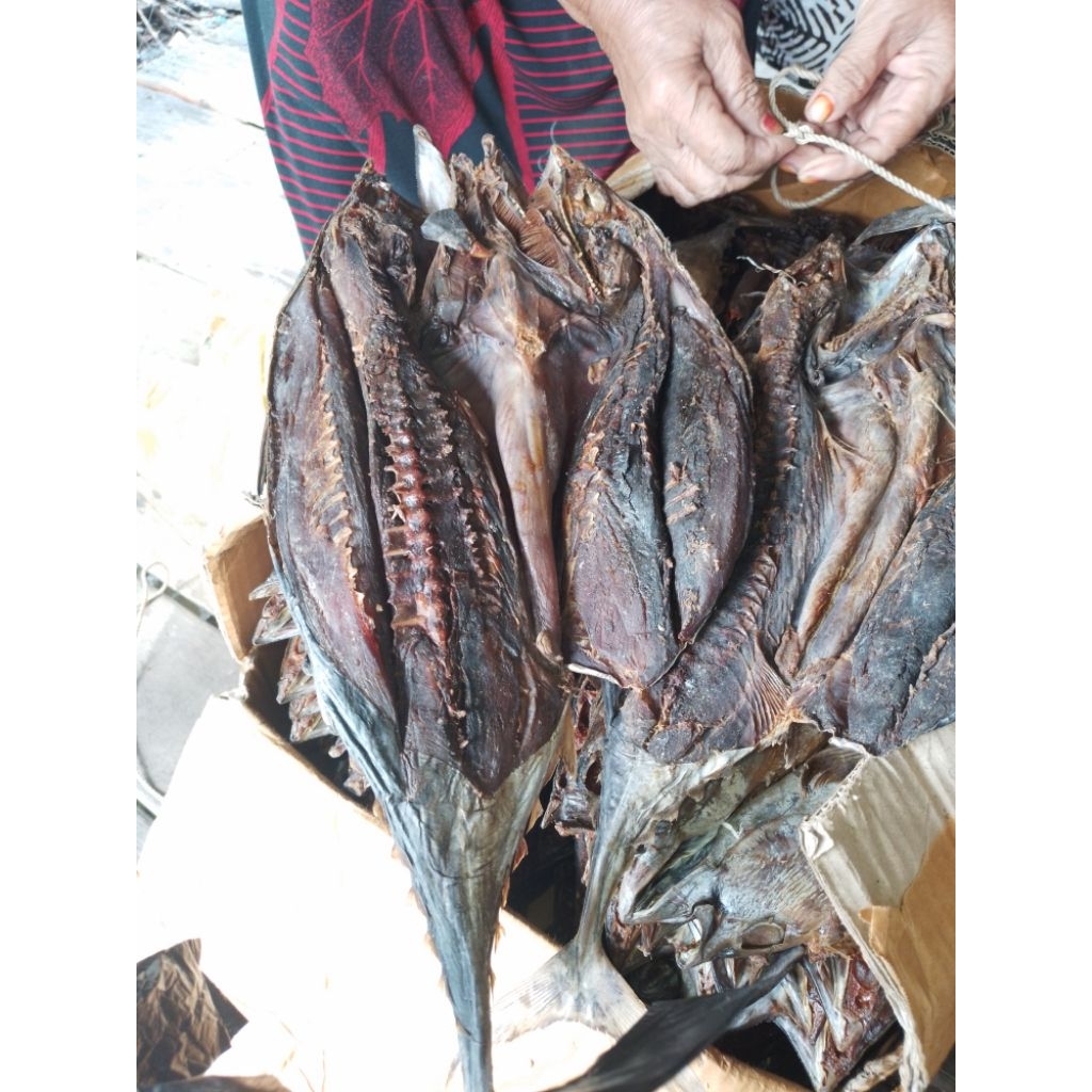 

IKAN ASIN TONGKOL BISA COD PER EKOR (-+800 GRM)