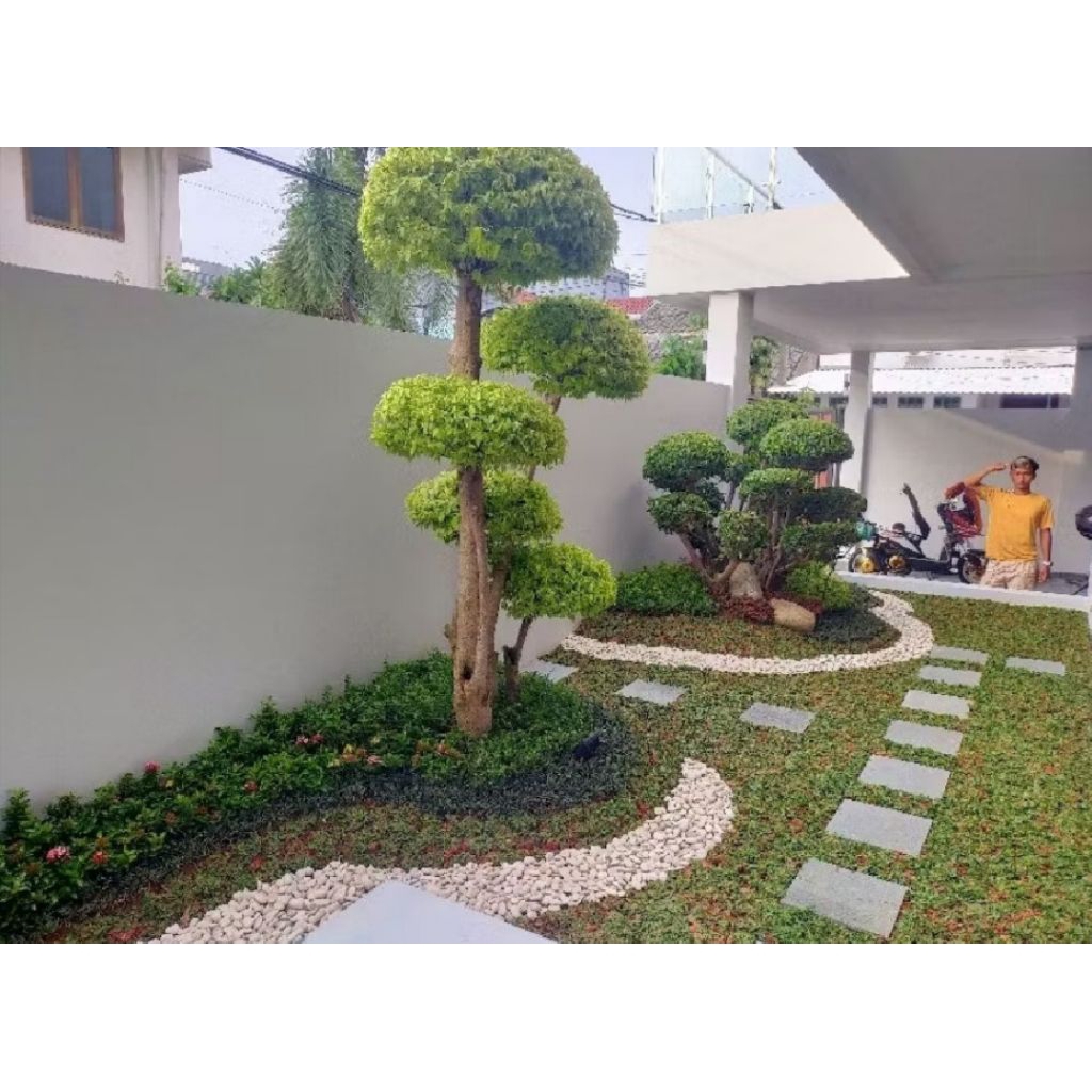 jasa taman rumput/taman minimalis