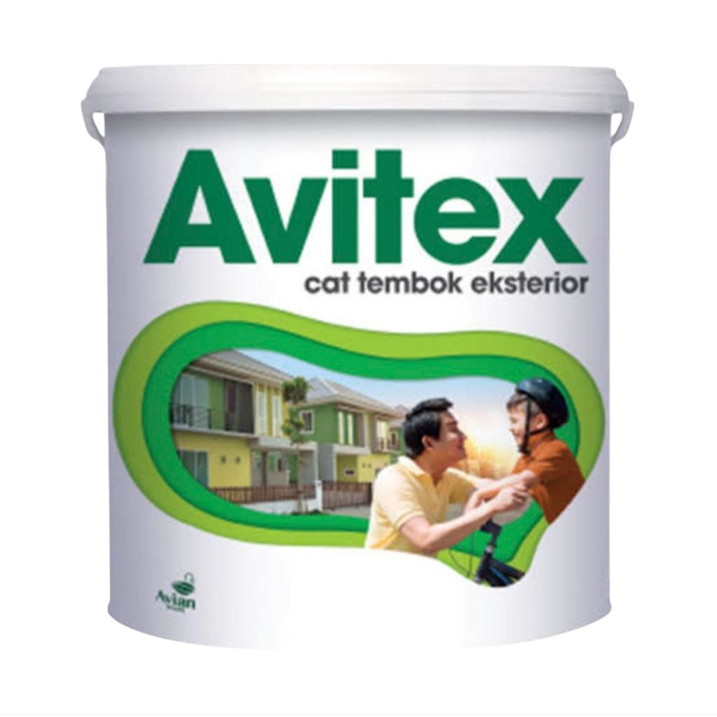 SAN Avitex Exterior 5kg