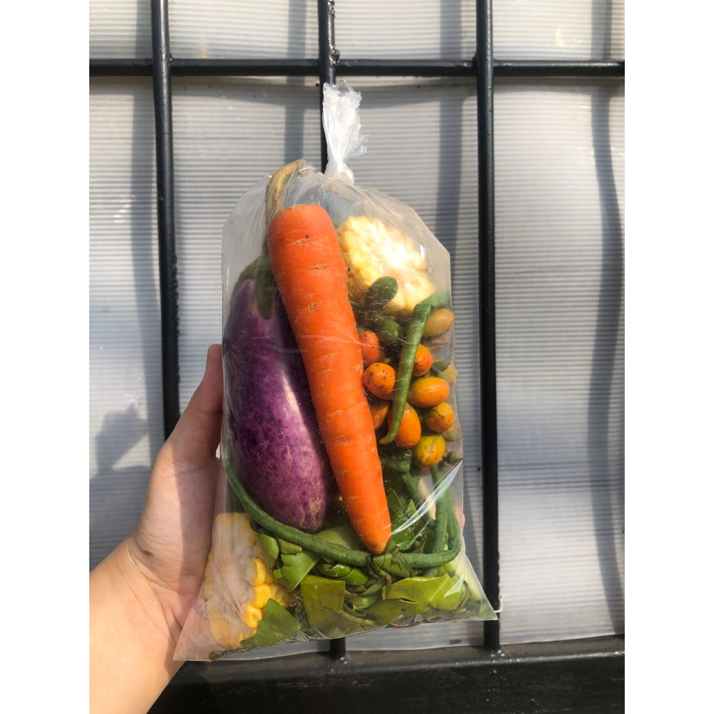 

INSTANT/SAMEDAY PAKET SAYUR LODEH 5000