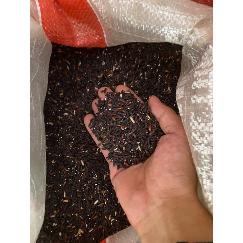 

KETAN HITAM KILOAN
