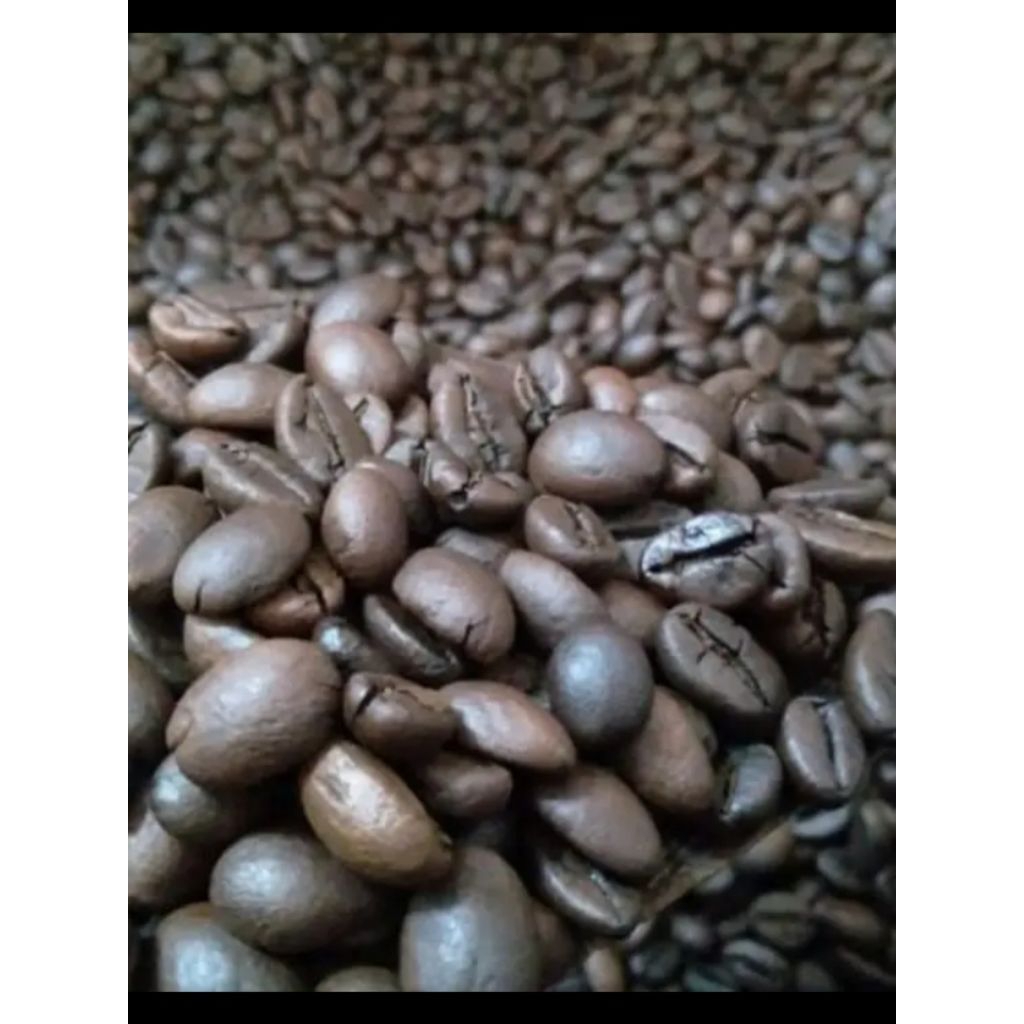 

[TERMURAH] Biji Kopi Sudah Matang Robusta Asli Rosting 1/2 Kg