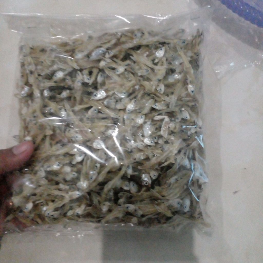 

teri kering /teri cemek/teri putih tawar 250g