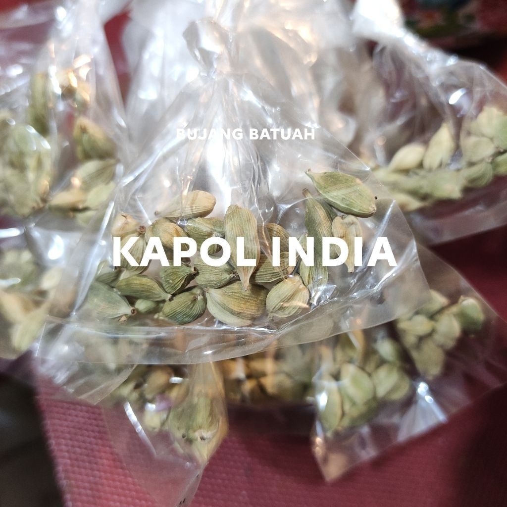 

KAPOL INDIA SUPER GAMBAR ASLI 6RIBUAN