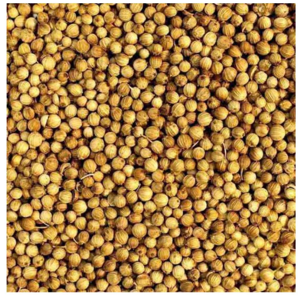 

[1KG = 1000 GRAM / 1 Kilogram] Biji Ketumbar Butir Utuh 1000gram 1 kg Bumbu Rempah