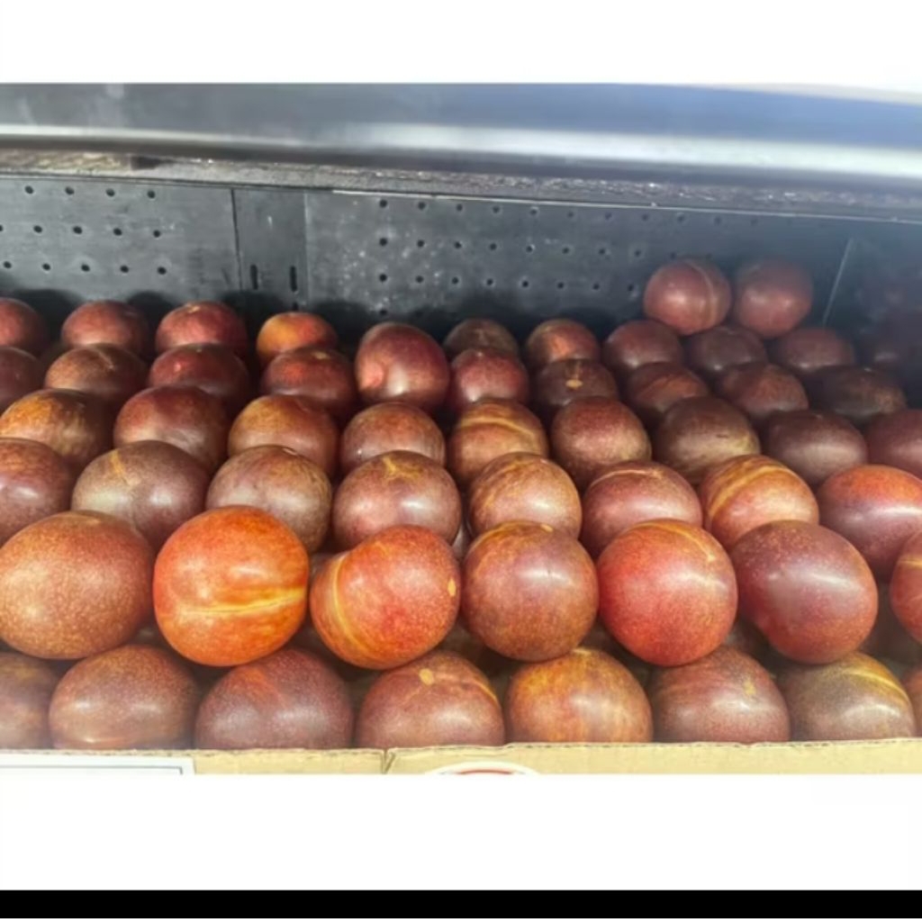 

Buah Pluot Queen / buah manis lembek flavour 1kg