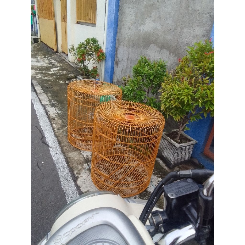 Jeruji sangkar murai harga per 100