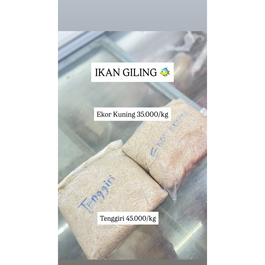 

IKAN GILING TENGGIRI