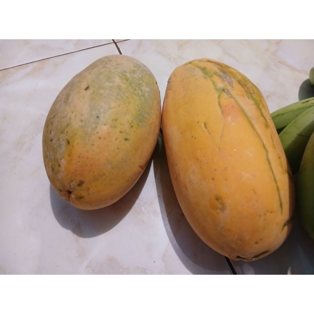

pepaya california