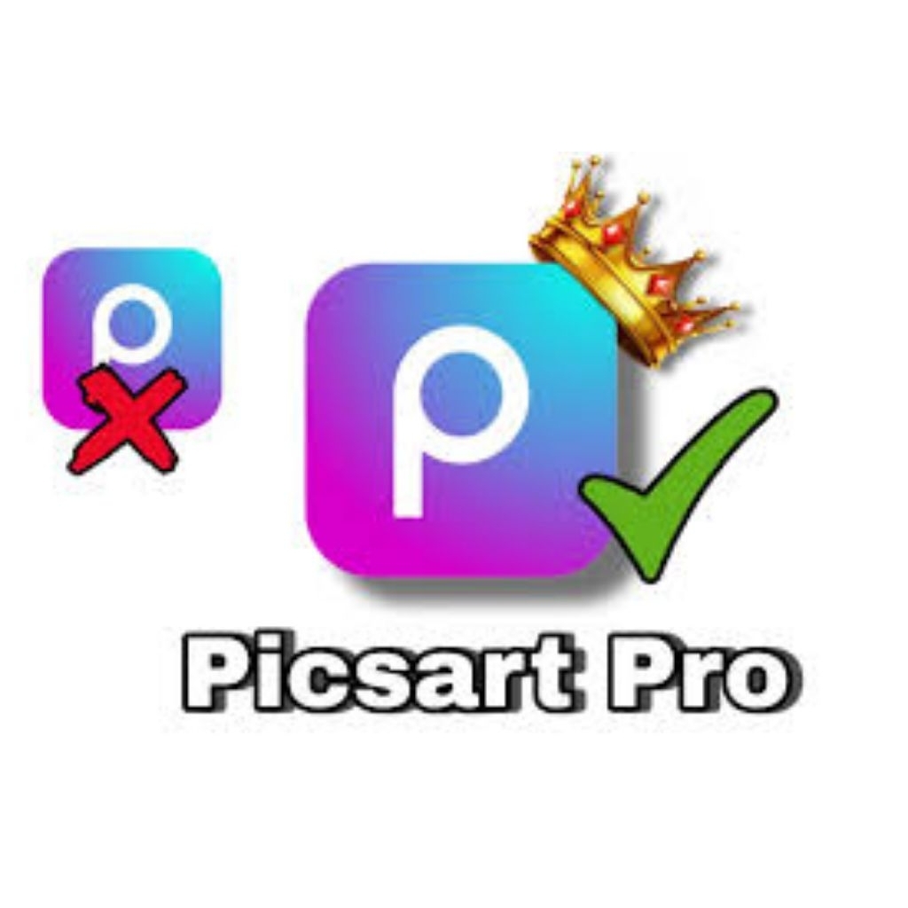Picsart Pro Privat