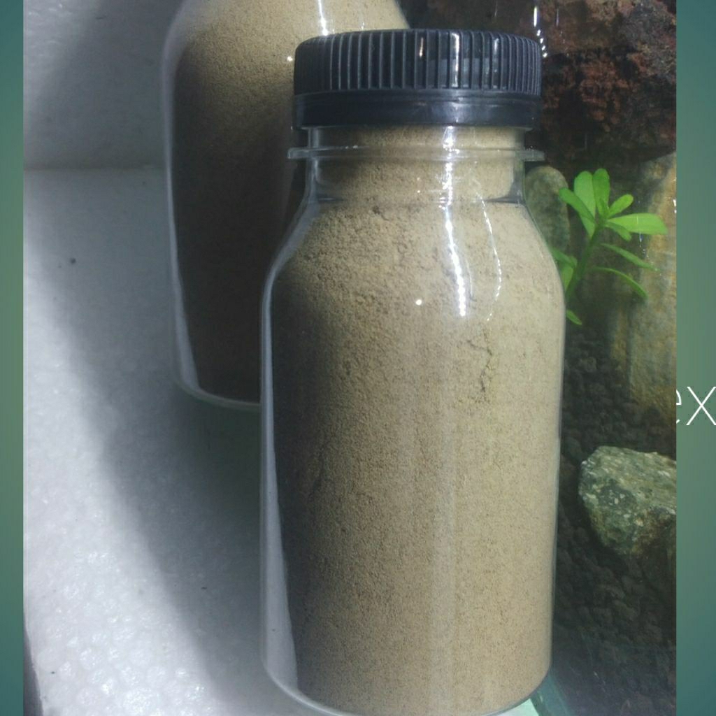 Fengli O,  pakan burayak ikan hias