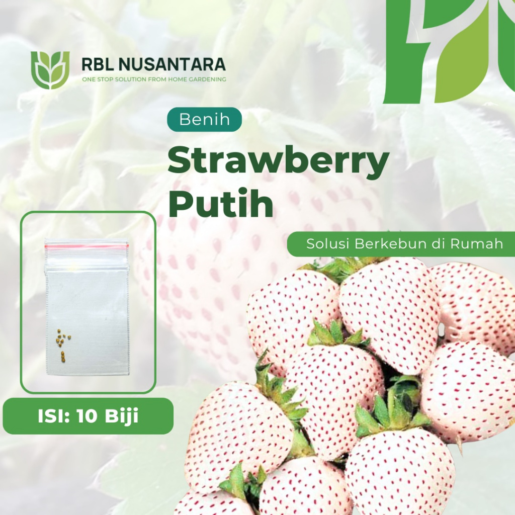 RBLN - 10 Benih Strawberry Putih