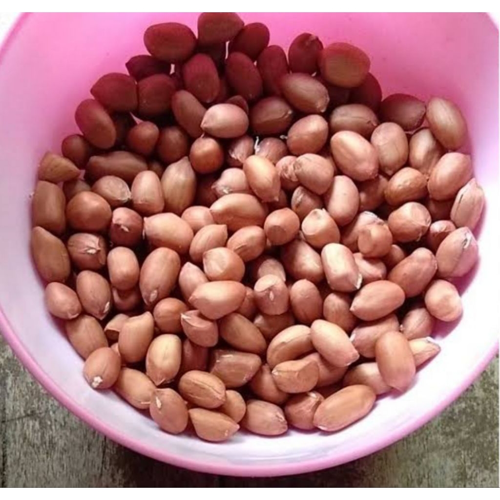 

kacang tanah 1 kg
