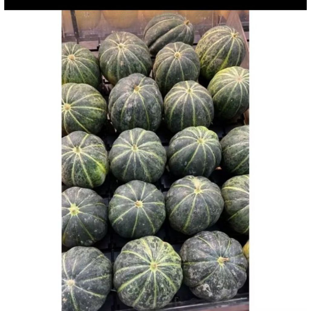 

Blewah golden super fresh 1.5kg