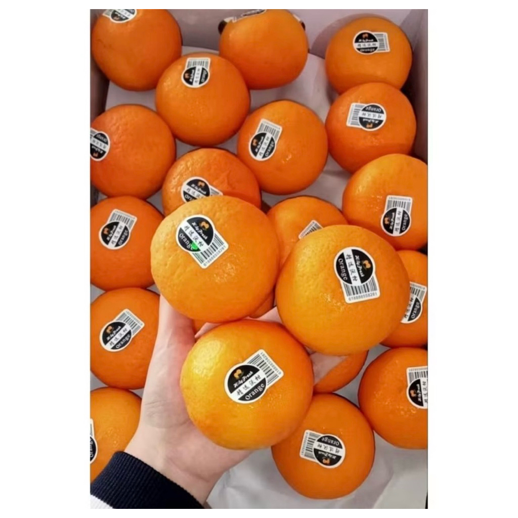 

Jeruk Wogan Orange Super Manis Fresh 9kg | Box