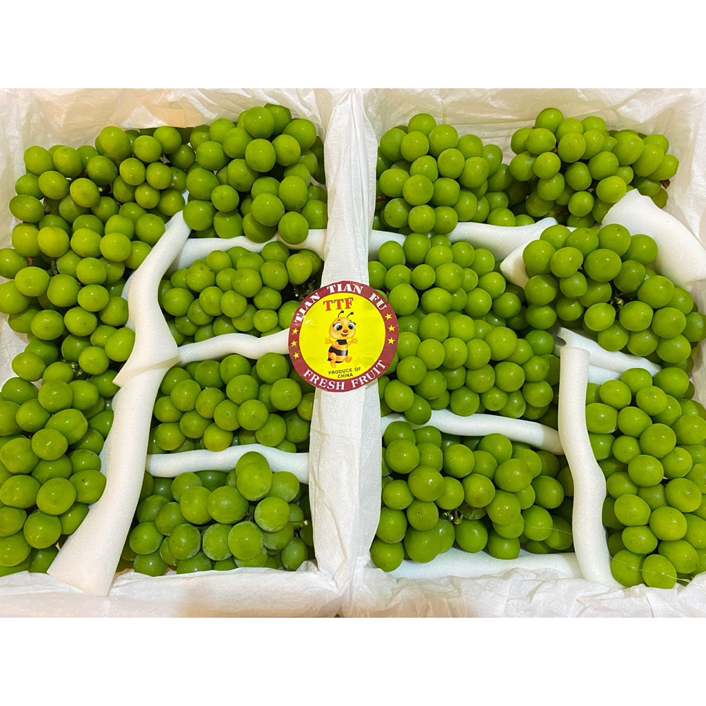 

Anggur hijau shine muscat 500gr