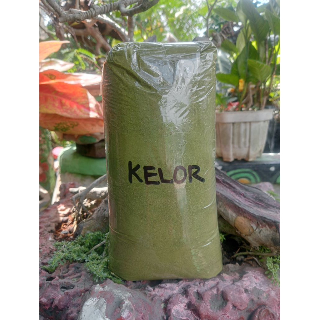 

bubuk daun kelor kemasan 500grm murni
