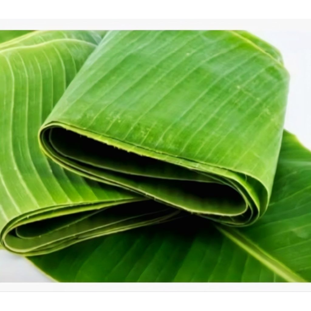 

DAUN PISANG SEGAR FRESH 1KG